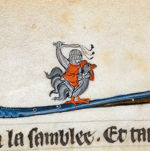 discardingimages:knight riding a cockLe livre de Lancelot du Lac and other Arthurian Romances, Northern France ca. 1275-