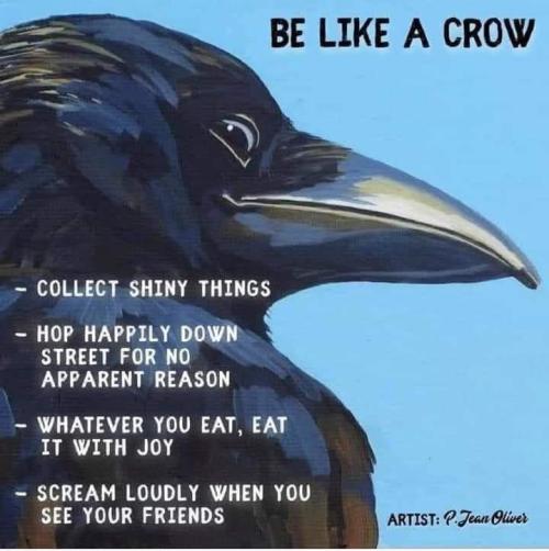 witchesversuspatriarchy:Turns out I’m part-crow