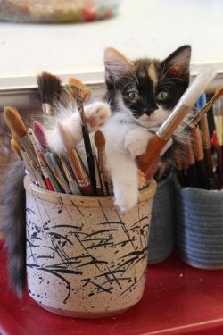 kittiesandpuppies555:  The artist. on We Heart It - http://weheartit.com/entry/167345517