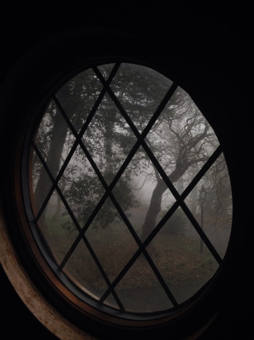 studiointhewoods:Magical view out of my window just now