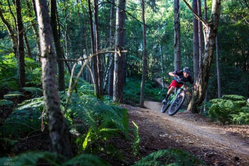 two-wheels-one-love: Pic by Aspect Media