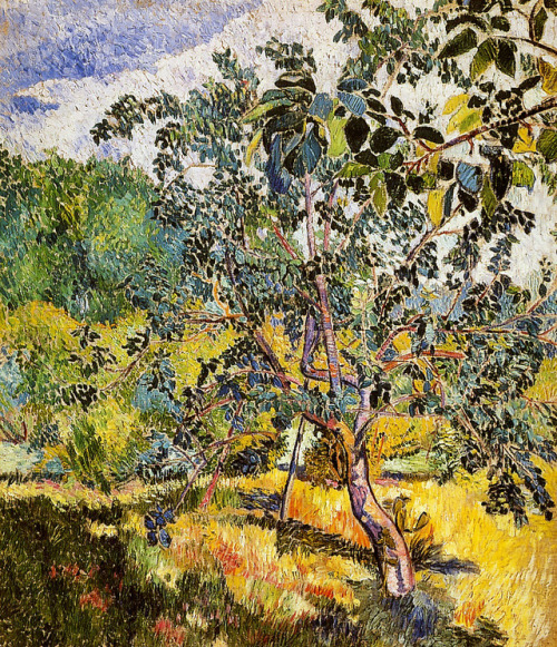 natalia-goncharova: Corner of a garden Sun, Natalia Goncharova www.wikiart.org/en/natalia-go