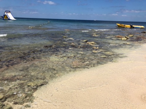 Here are some photos from Cozumel and my new Rose Quartz bracelet that I bought on the beach there  -Im in port in Progreso rn and I have 2-4 days left until Ill be back-