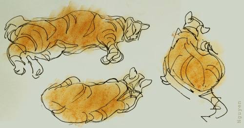 rainplace-animates: ChooChoo ^^