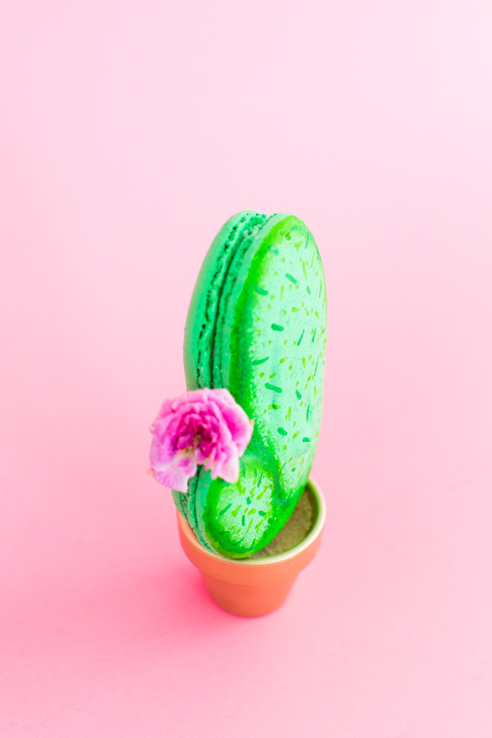 loopylass55:  sweetoothgirl:  DIY Potted Cactus Macarons   Yum! Love these they look