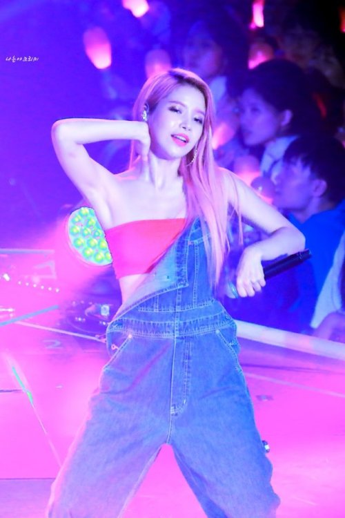 fy-yongsun:180818~19 Solar @ 4 Season S/S Concert © 나는야크리미