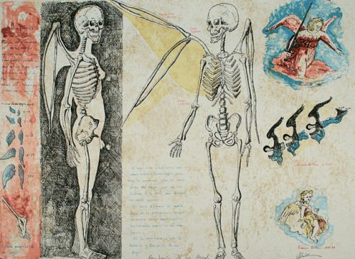 Bohm, Aldo Valdez, Anatomia de un Angel