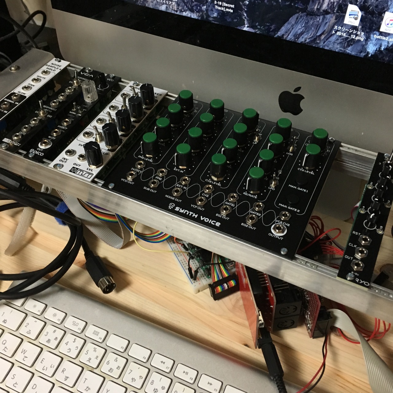 Erica Synths Pico Voice— Clockface Modular