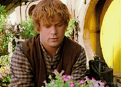 kwistowee: ➥ Character Introduction: Samwise Gamgee The Lord of the Rings: The Fellowship of the Rin