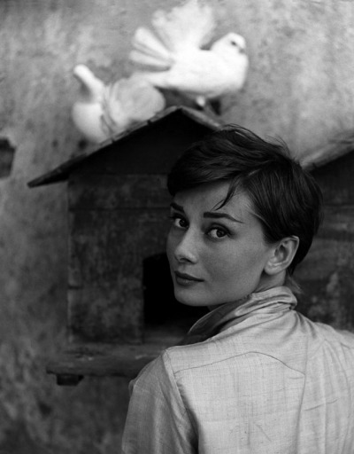 voxsart:
“Rome 1955.
Audrey Hepburn.
”