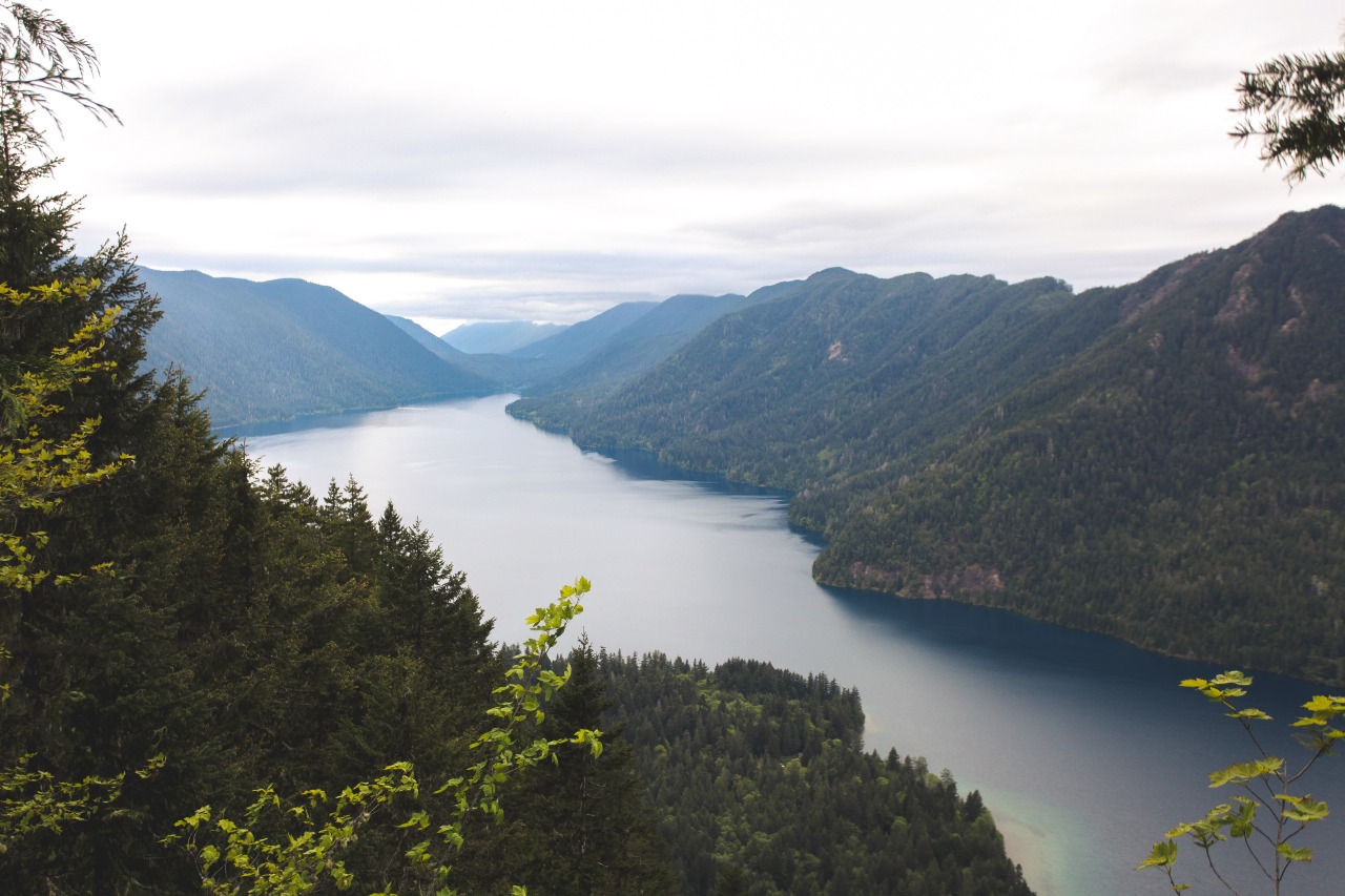 jonahreenders:   By: Jonah Reenders    Lake Crescent on the midway point up to Stormking,