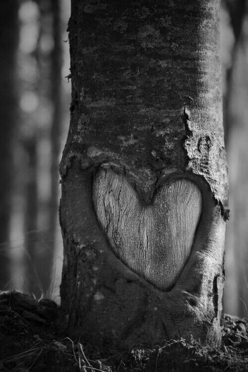 Hmm..a perfectly cut wooden heart..yours?