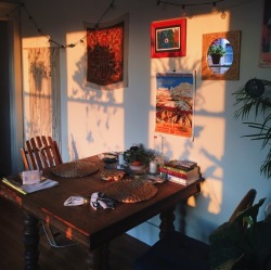 camelliapollen:  sunrise in my apartment