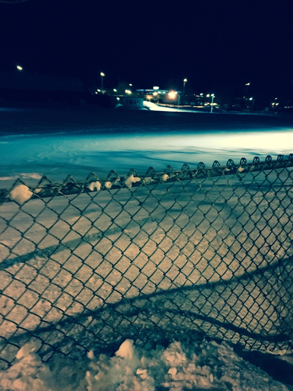beyoncempire:pictures from my walk