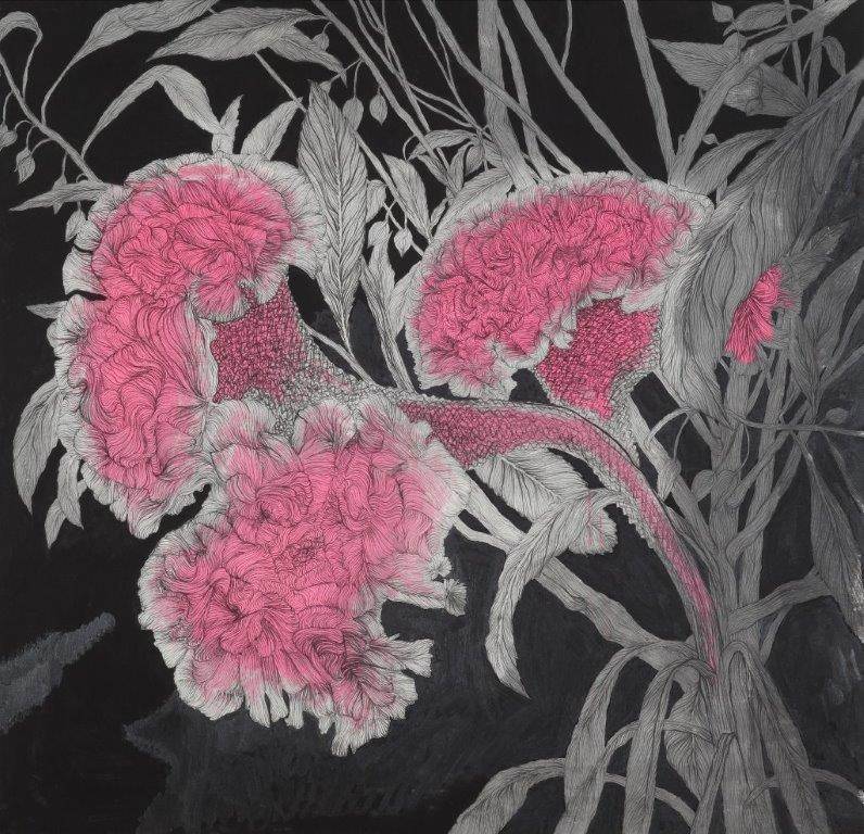 nevver:  Flora and Fauna, Su-Jeong Nam
