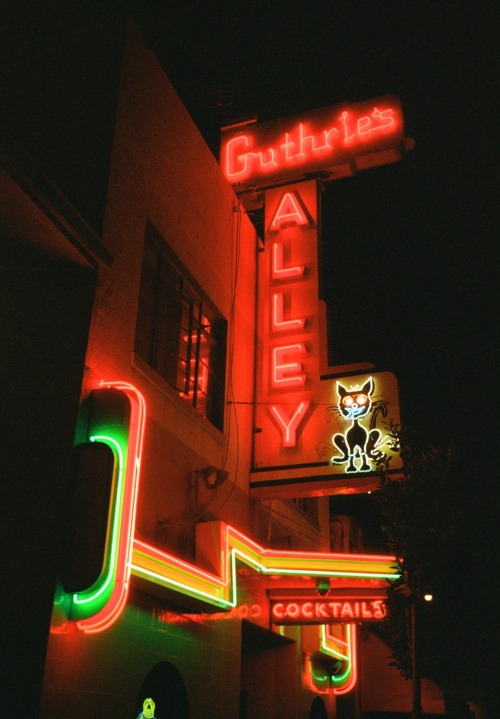 phdonohue:guthrie’s alley cat, bakersfield, california