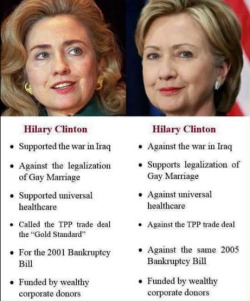 thedrewbydoo:  pocblog:  ace-pervert: s3diya:  okayzara:  lagonegirl:    #WhichHillary is trending    I’m so glad people are starting to see through her  I’m not for Hilary but people can grow and change their minds  didnt she support the TPP deal