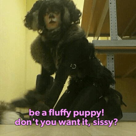 thetrappedpet:Imagine you dressed up like me. What would you feel? Hey, I was a fluffy sissy puppy f