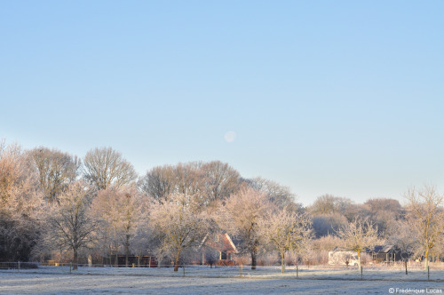 We had a really pretty winter solstice morning.