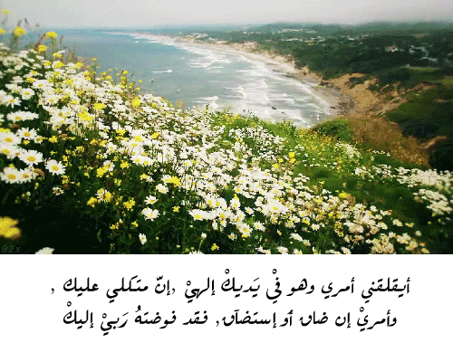 عسسل
