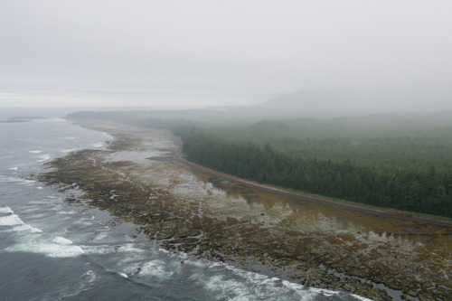 Nootka Island by Bryn Tassell