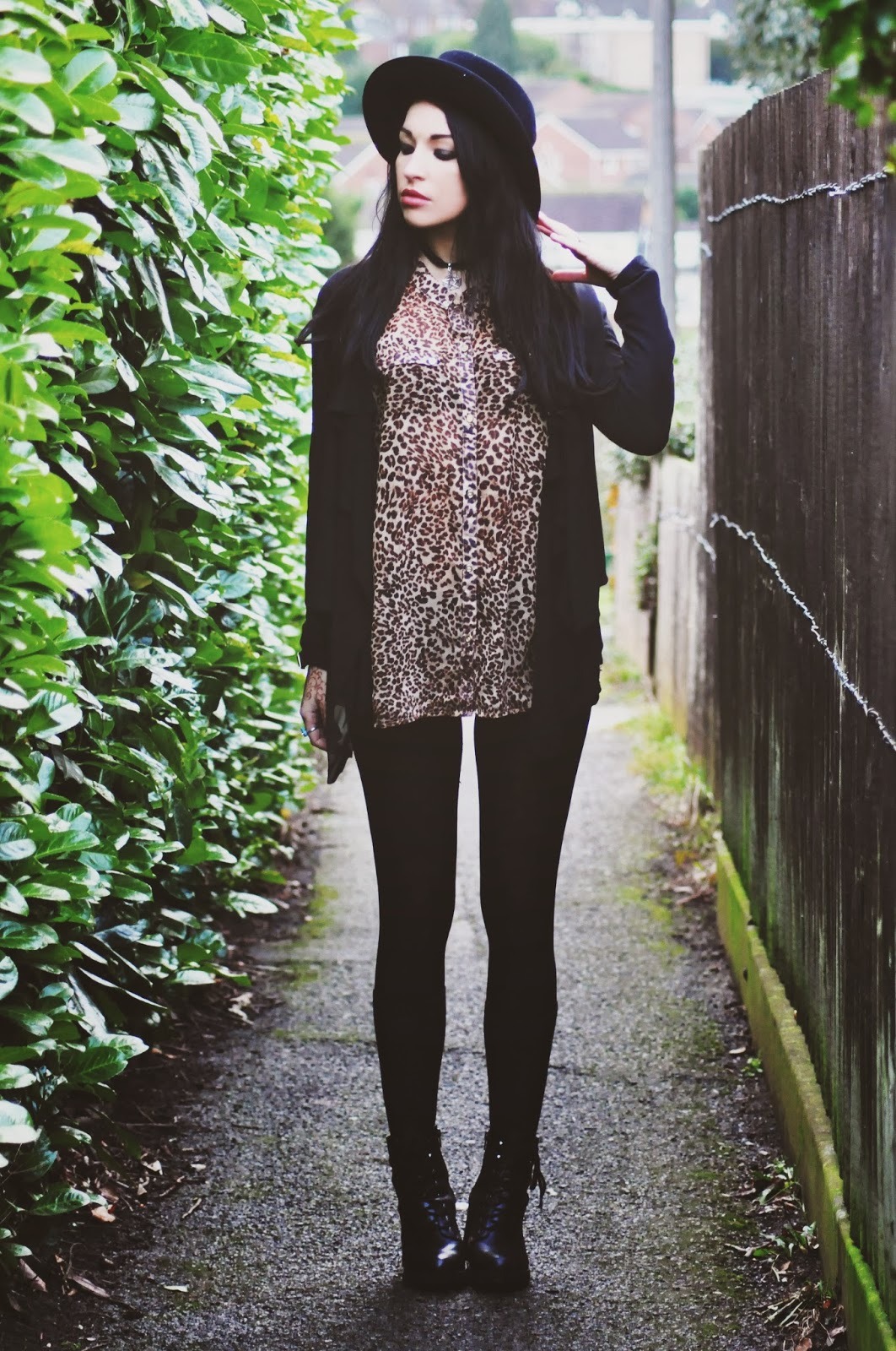 pedalfar:  LEOPARD | .
