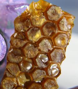 420sunshin3gurl:  beast-coast-cannabidroid:merry-from-dbk-glass:beast-coast-cannabidroid:  merry-from-dbk-glass:  Death Star honey comb shatter. (Hash)  smh… honeycomb is something totally different from shatter… stamping tanesoup shatter with a honeycomb