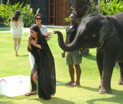 kimkardashianfashionstyle:  March 28, 2014 - Kim Kardashian in Thailand. 