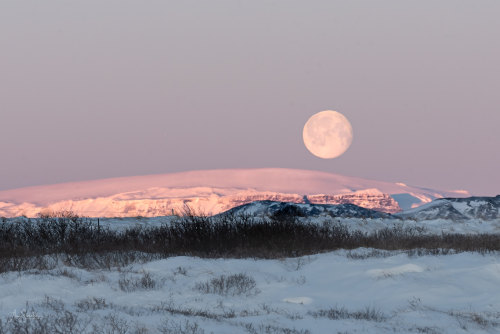 tokyoproxy:  Last full moon of the year, in Þingvellir by Ann Silvestre.