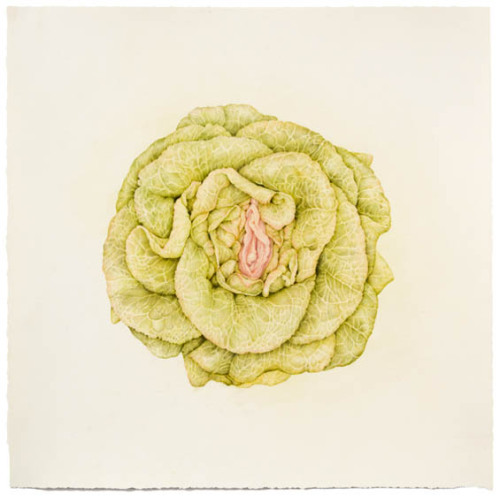 actegratuit:  In two of Aurel Schmidt’s more recent series, the artist’s highly rendered drawings depict leafy vagina lettuce and ginger toes, among other inventive combinations of body parts and edibles. 