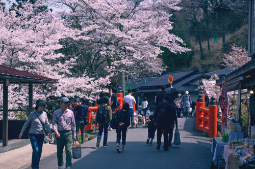 Mt Yoshino - Nara, Japan