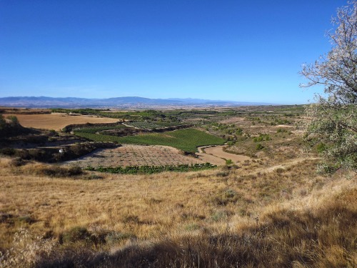 Escenas en el valle del Ebro, Navarra, 2011