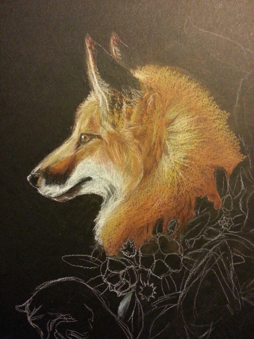 New drawing, working on a new surface. Derwent tinted charcoals, Derwent soft drawing pencils, Pitt 