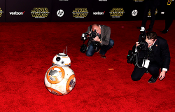iwouldfookthat:  BB-8 at the Star Wars premiere