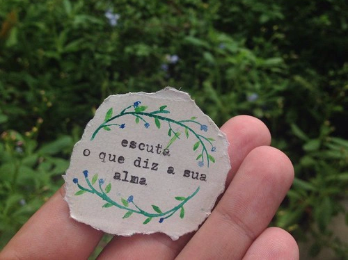 •domus solis•
