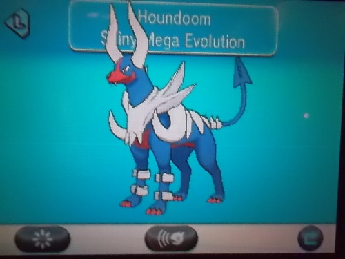 the-pokemon-adventurers:  My baby ;w;  holy shit