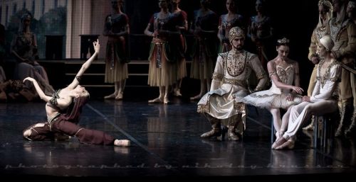 jardinspluie:Alina Somova in La Bayadere 