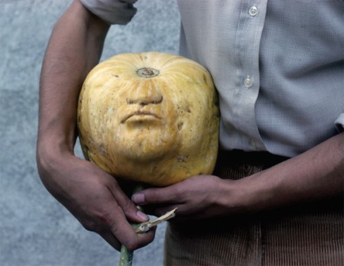 thinkingimages: Giuseppe Penone | Pumpkins, 1978-1979. Photograph: Archivio Penone.