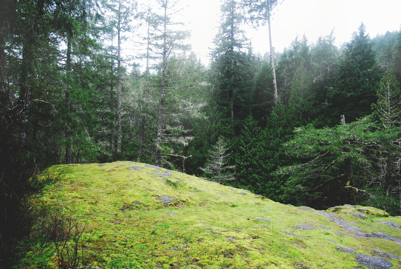 tuaari:  Sooke Potholes - January 2016