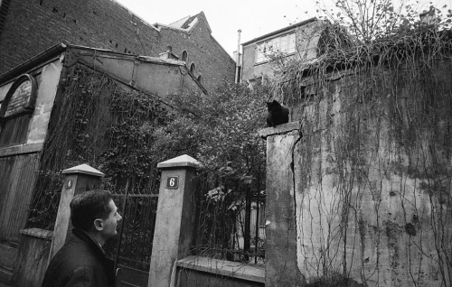 vintageeveryday:A man looking at a cat sitting on a wall in Montmartre, Paris, 1961. Photograph by É