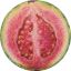 saintguava