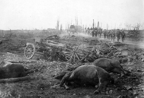 Dead horses and a broken cart on Menin Road, with troops in thedistance (Ypres, Belgium, 1917).  Hor