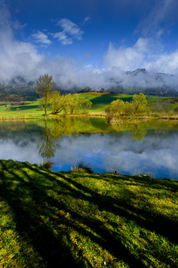 Ponderation:  Spring By Friedrich Beren  