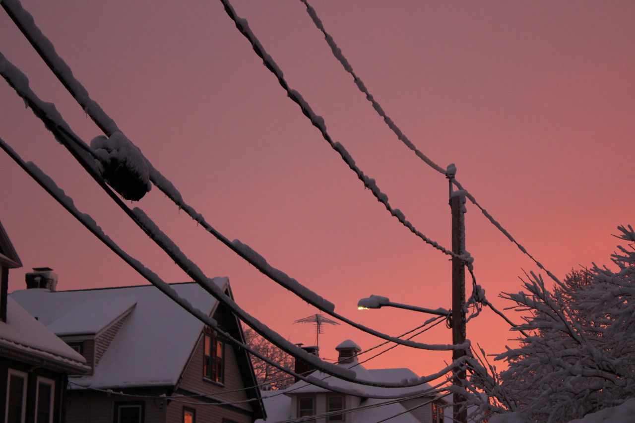 dimitrajoy:  dimitrajoy:  phot journal- 2.5.16 allston, ma  i went outside in socks