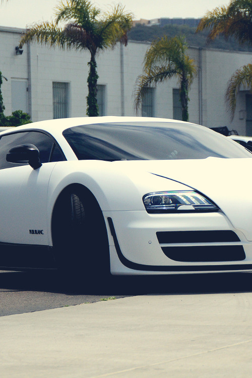 Premium Elegance.
