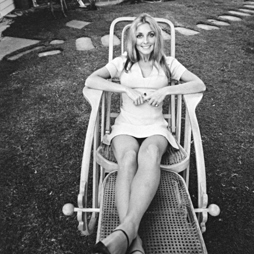 lily-laurent:  Sharon Tate photographed by Peter Bruchmann at the house on Summitridge Drive, Beverly Hills, in 1968  