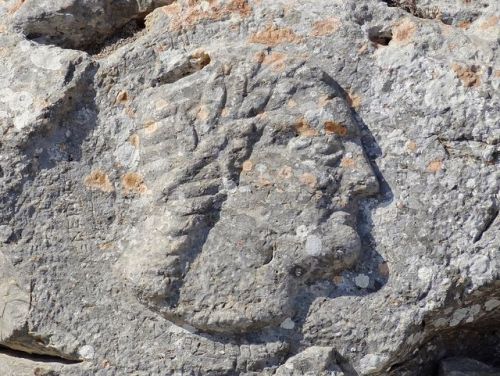 historyfilia:Reliefs from the temenos of Artemidoros - Ancient Thera, Greece