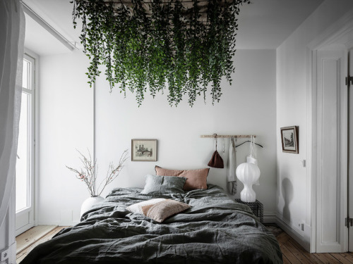 Green And Grey | Goteborg, Schweden(Source: entrancemakleri.se, Photos: Anders Bergstedt)Layout: 