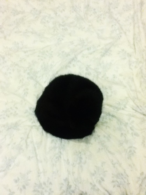 nakklepiggy: smolpie: How To Become A Circle: a six-step program for felines [as demonstrated b