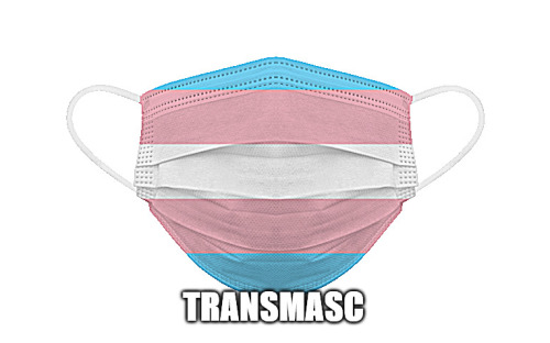 librarycards:[id: a trans pride flag-themed face mask, captioned as ‘transmasc’]